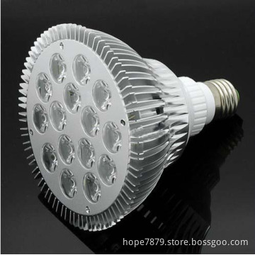 15W PAR38 Dimmable LED Lighting